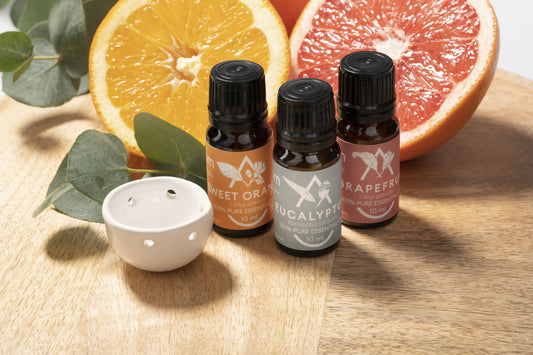 Saunum Aroma Oil Set - 01_hero_all_sets.jpg