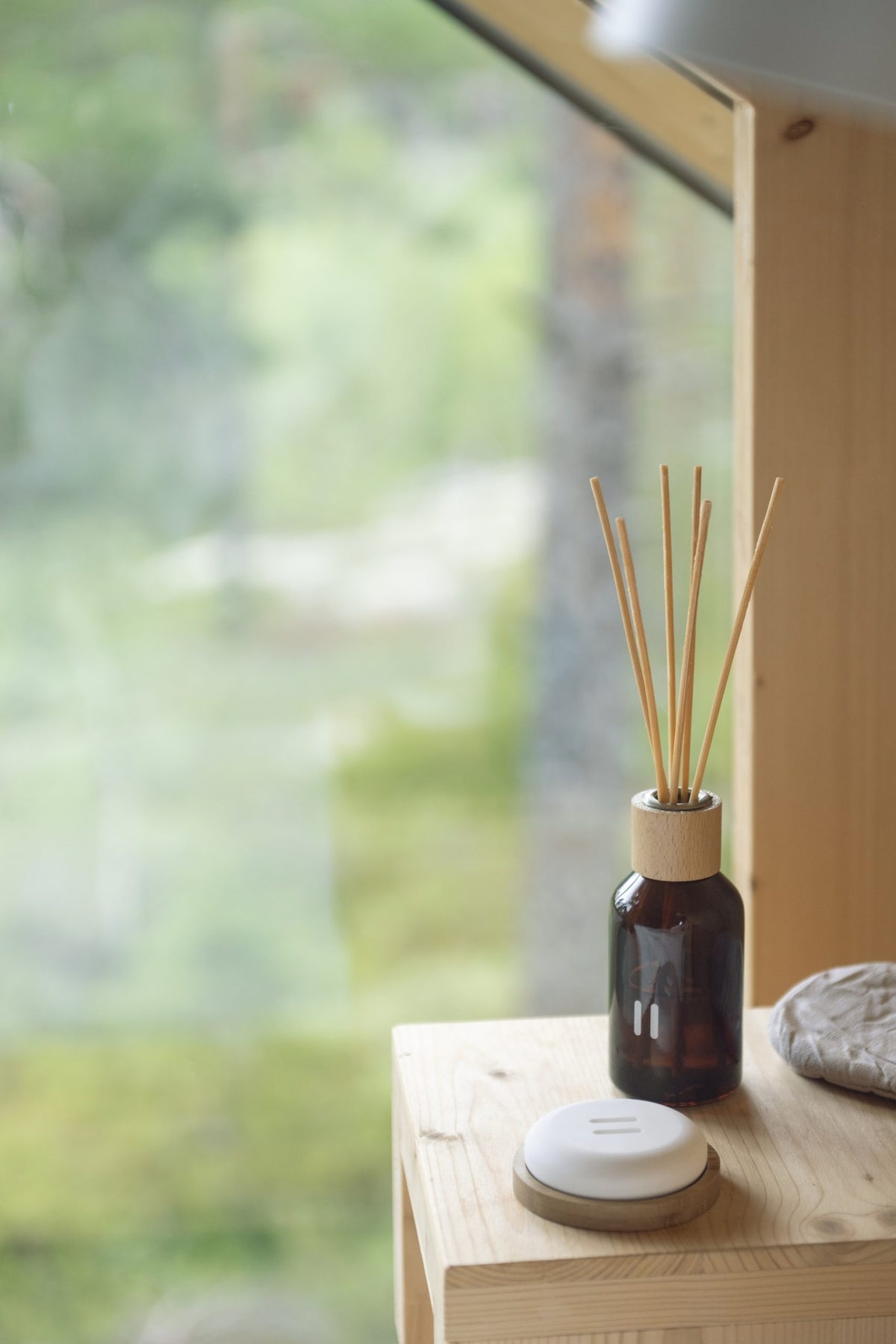 Rento Fragrance Sticks Aroma Diffuser 100mL - Arctic Berries