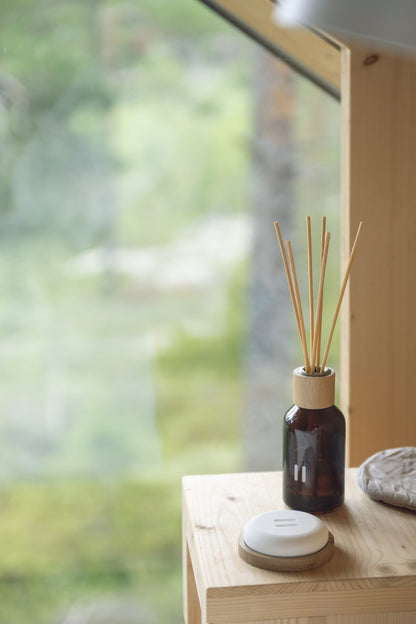 Rento Fragrance Sticks Aroma Diffuser 100mL - Arctic Berries