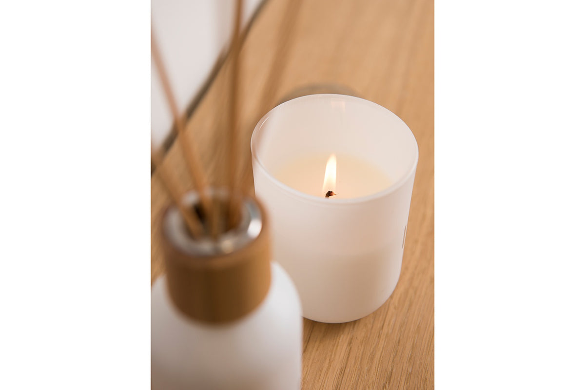 Rento Natural Scented Soy Candle - Birch