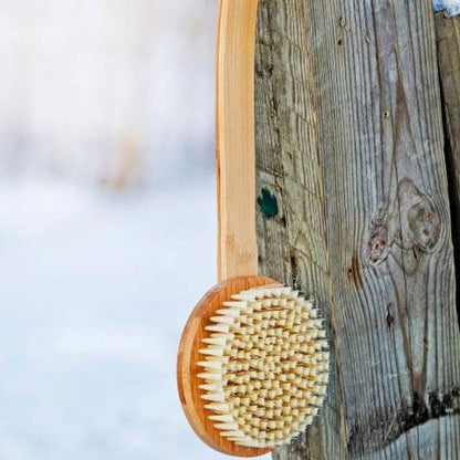 Kolo Sauna Brush 2